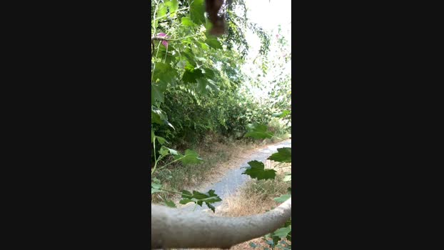 exhibitthis Cam4 09-06-2024 Males