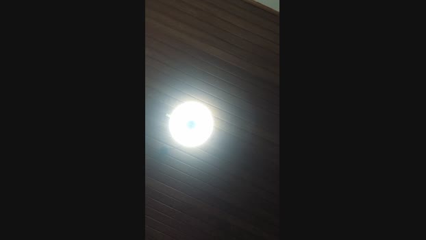 Doperman Cam4 10-06-2024 Males