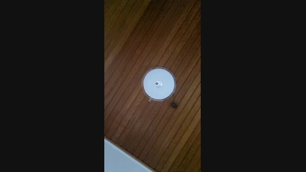 Doperman Cam4 10-06-2024 Males