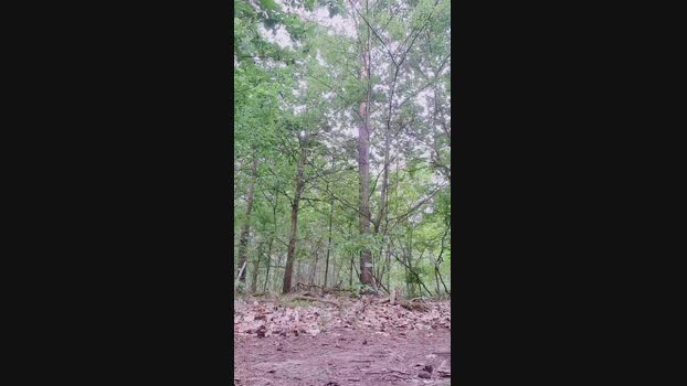 SlutboyBen Cam4 10-06-2024 Males