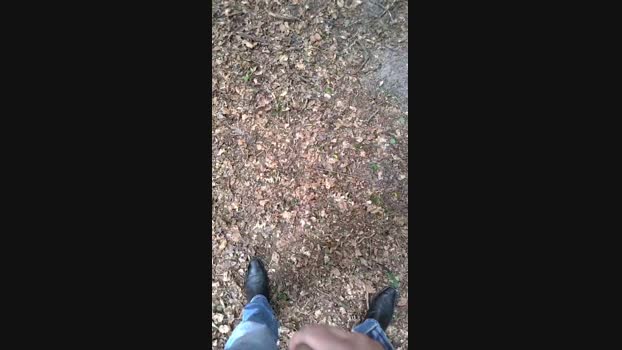 publicexib1 Cam4 12-06-2024 Males