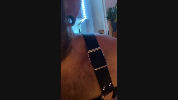 HairyGuy06 Cam4 18-06-2024 Males