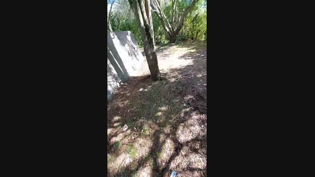 Horny_cruising Cam4 18-06-2024 Males