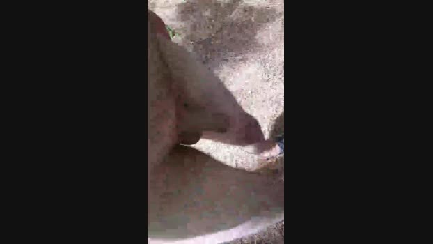 faraon47 Cam4 21-06-2024 Males