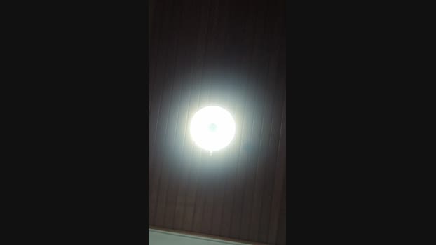 Doperman Cam4 21-06-2024 Males