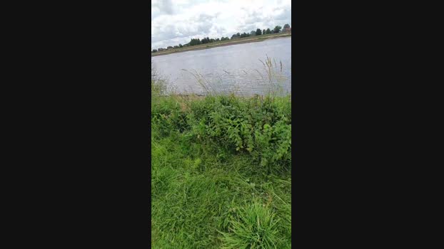Zeigegeiler69 Cam4 23-06-2024 Males