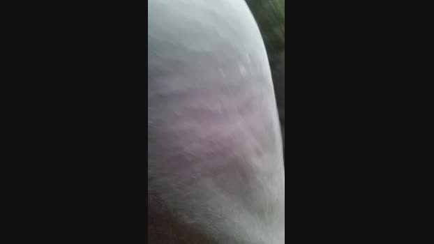 Doperman Cam4 23-06-2024 Males