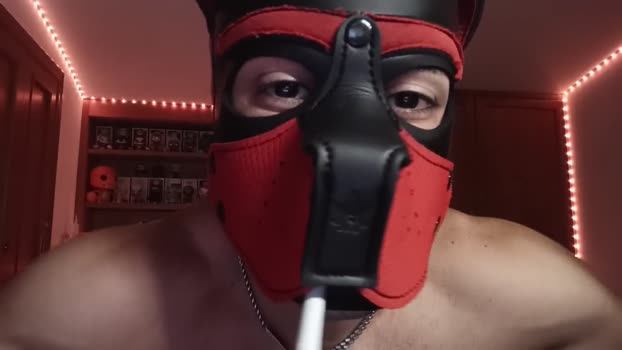 Frabroker Cam4 23-06-2024 Males