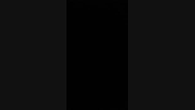 Bear_Baby Cam4 24-06-2024 Males