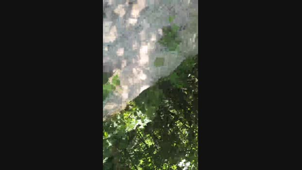 Endi7777 Cam4 25-06-2024 Males