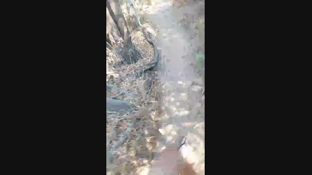 Horny_cruising Cam4 24-06-2024 Males