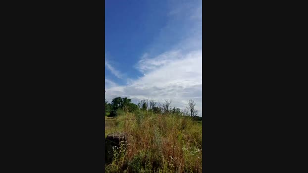 TripContePorn Cam4 25-06-2024 Males