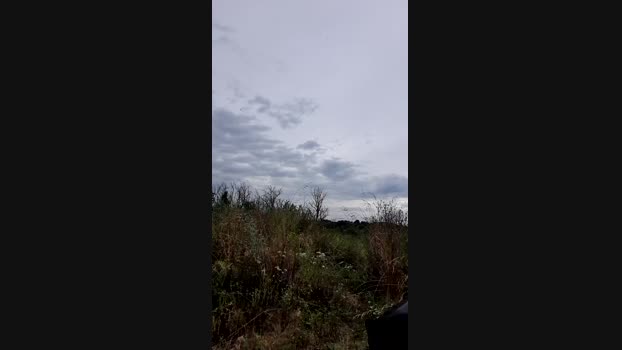 TripContePorn Cam4 25-06-2024 Males