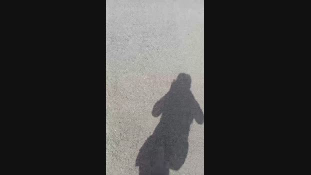 calabroSila Cam4 25-06-2024 Males