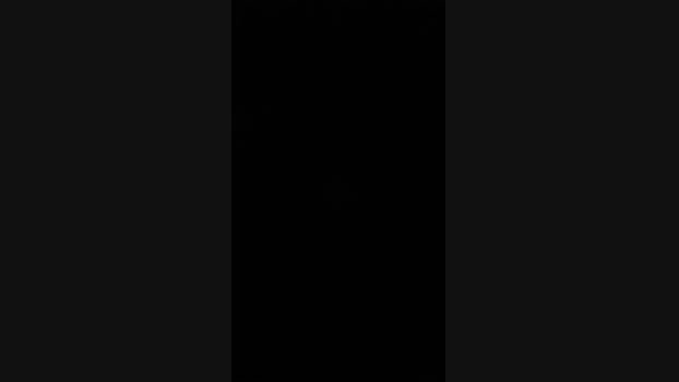 Bear_Baby Cam4 26-06-2024 Males
