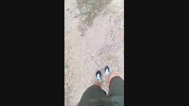 Horny_cruising Cam4 27-06-2024 Males