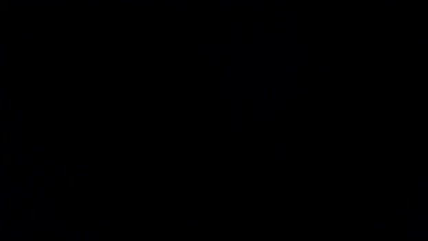 Legolar Cam4 27-06-2024 Males