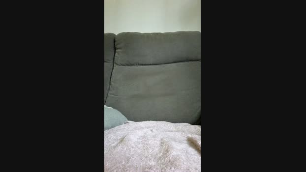 PenisAVoir Cam4 29-06-2024 Males