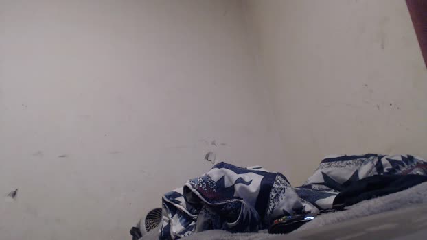 bigBUZZZZ69 Cam4 01-07-2024 Males