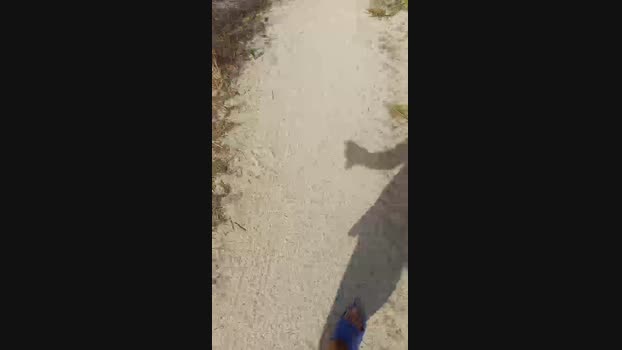calabroSila Cam4 02-07-2024 Males