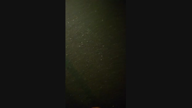 ikarino1 Cam4 01-07-2024 Males