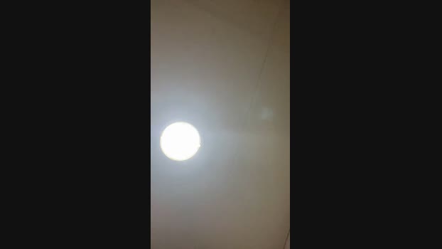 Pollon29_cm Cam4 05-07-2024 Males
