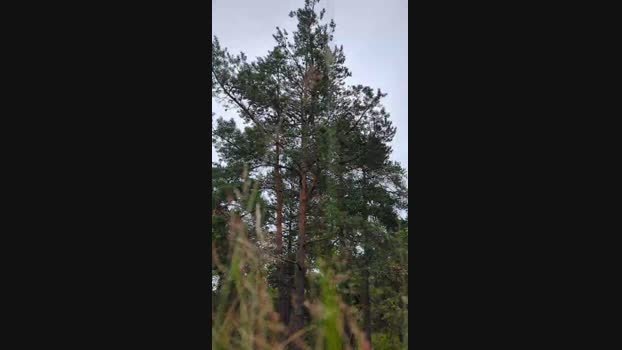 fuje Cam4 06-07-2024 Males