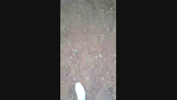 hotbody18y Cam4 09-07-2024 Males