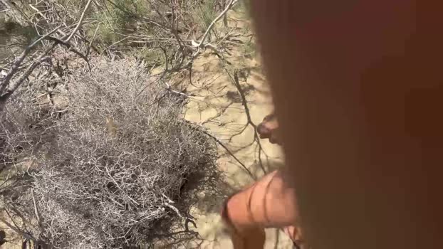Pabloysebas Cam4 09-07-2024 Males