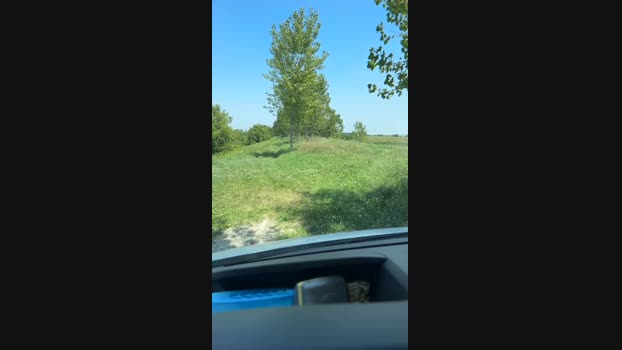 Edward_venezia Cam4 11-07-2024 Males