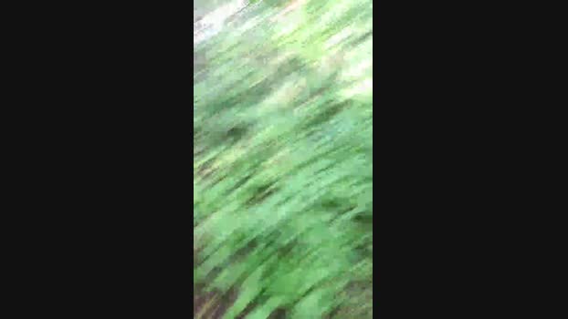 Outdoorgeil1 Cam4 11-07-2024 Males
