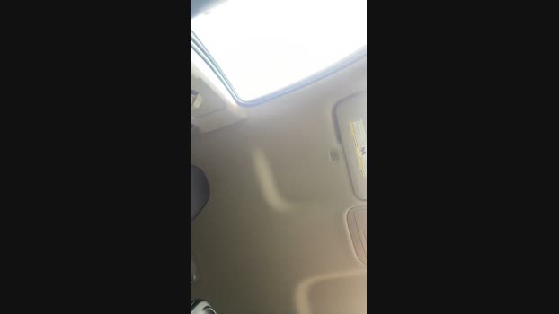 punxxx_fun Cam4 12-07-2024 Males