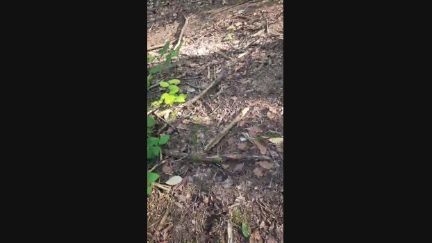Outdoorgeil1 Cam4 18-07-2024 Males