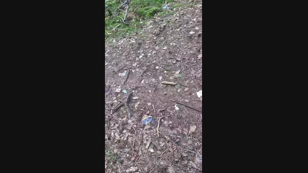 Outdoorgeil1 Cam4 18-07-2024 Males