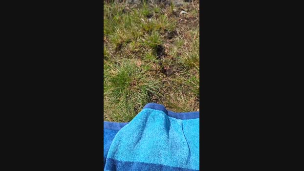 fuje Cam4 19-07-2024 Males