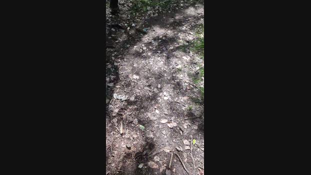 Outdoorgeil1 Cam4 21-07-2024 Males