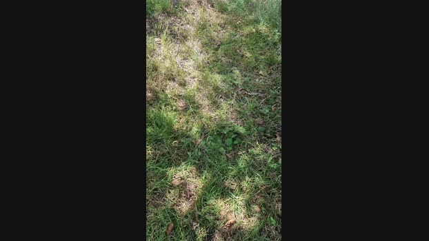 Outdoorgeil1 Cam4 21-07-2024 Males