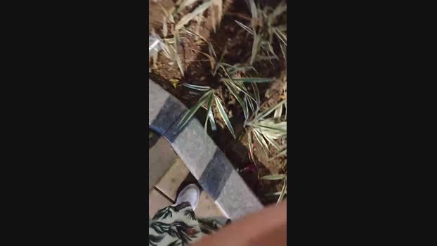 Sexylatinogay Cam4 22-07-2024 Males