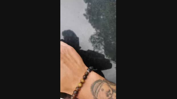 roultacam Cam4 23-07-2024 Males