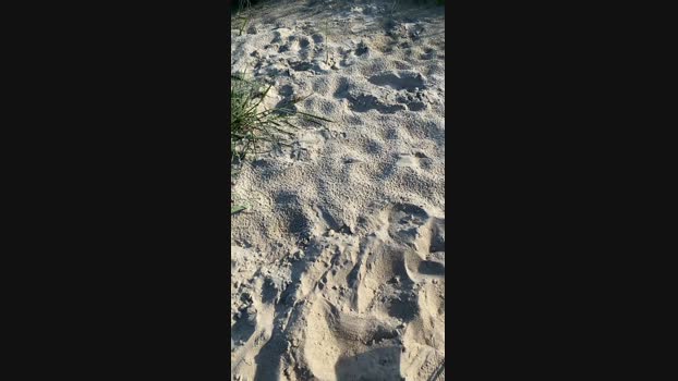 Zeigegeiler69 Cam4 23-07-2024 Males