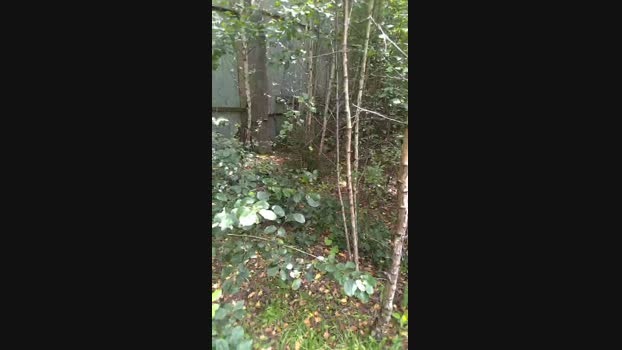 publicexib1 Cam4 24-07-2024 Males