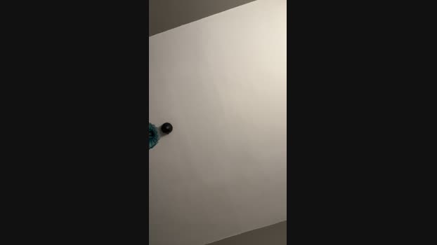 Pollon29_cm Cam4 24-07-2024 Males