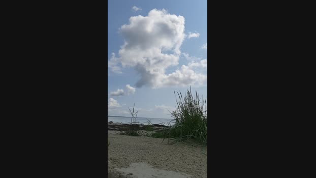 Zeigegeiler69 Cam4 25-07-2024 Males