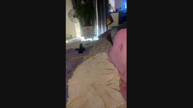 HairyGuy06 Cam4 26-07-2024 Males