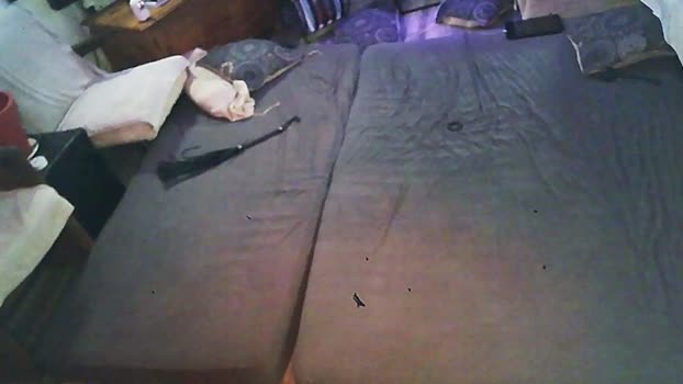 SchagenNH Cam4 28-07-2024 Males