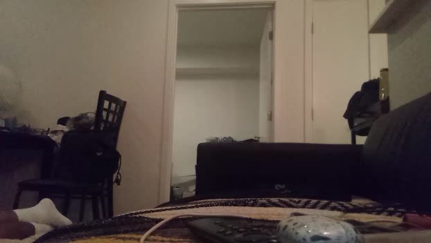 SuperManLA1 Cam4 28-07-2024 Males