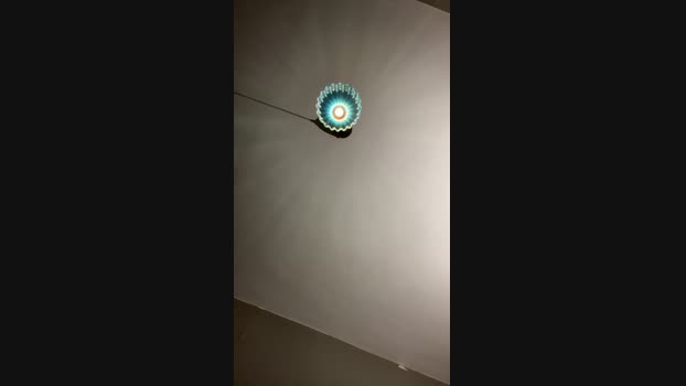 Pollon29_cm Cam4 29-07-2024 Males