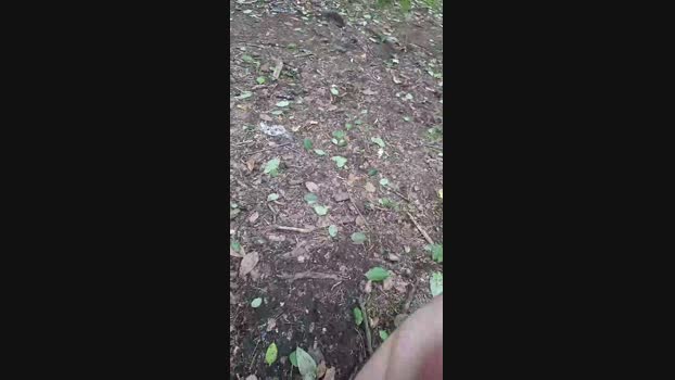 Outdoorgeil1 Cam4 29-07-2024 Males