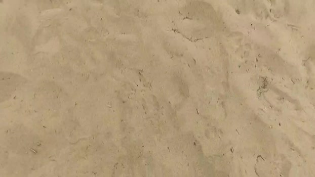 Pabloysebas Cam4 29-07-2024 Males