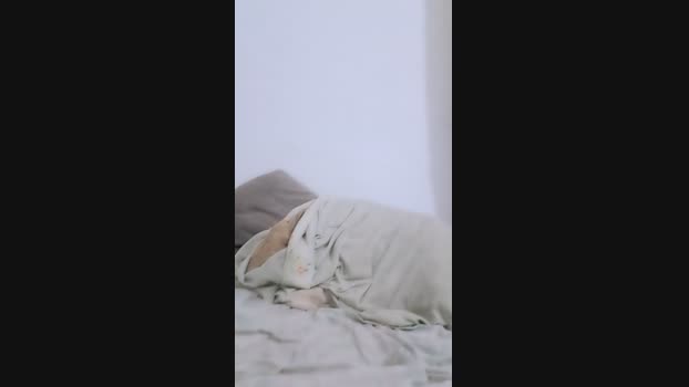 Paulhot18 Cam4 30-07-2024 Males